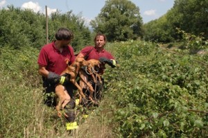 Anziano morto nei boschi