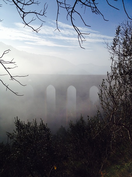 Foto del Giorno, Ponte sospeso di Massimiliano Ballanti