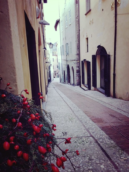 Foto del Giorno, Fiori in via del Mercato di Milena Proietti Neri