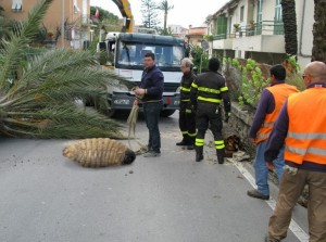 larva gigante