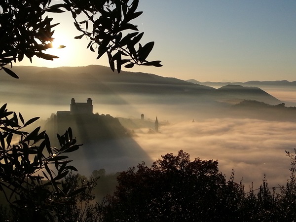 Foto del Giorno, Rocca e campanili di Rosanna Donati