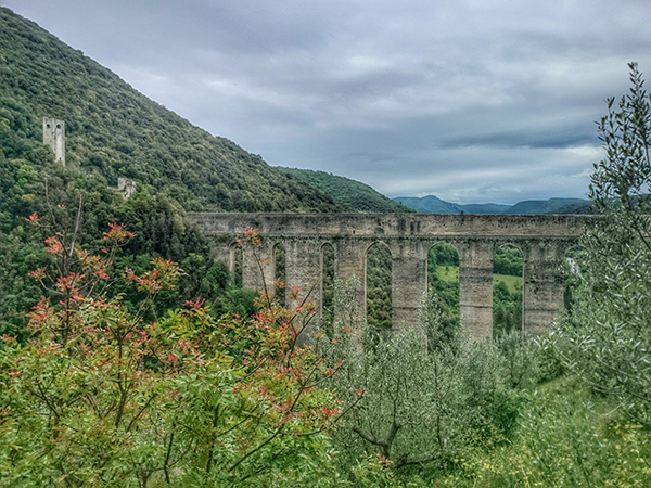 Foto del Giorno, Ponte delle Torri di Roberto Mazzanti