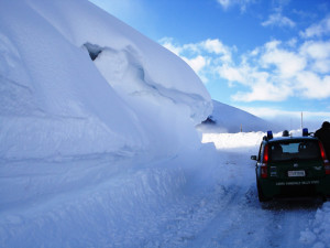 forca canapine neve