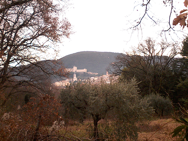 Spoleto, la foto del giorno è "la città fra gli ulivi" di Graziano Sciabordi