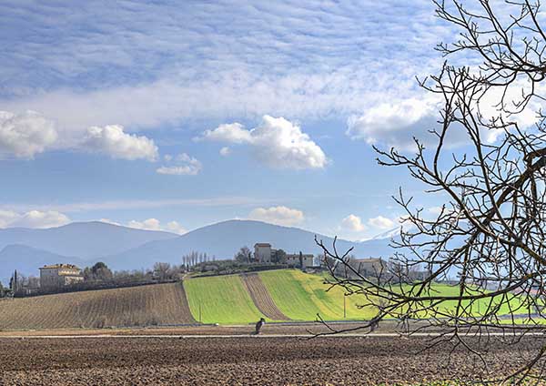 Spoleto, la foto del giorno è la nostra amata campagna di Aurelio Annino