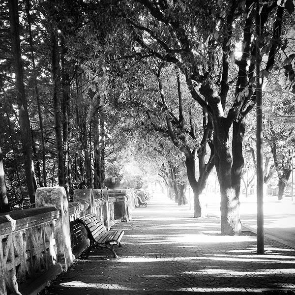 Spoleto, la foto del giorno è via Matteotti di Elisa Celva