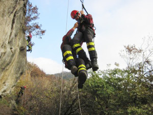 vigili del fuoco saf salvataggio cane