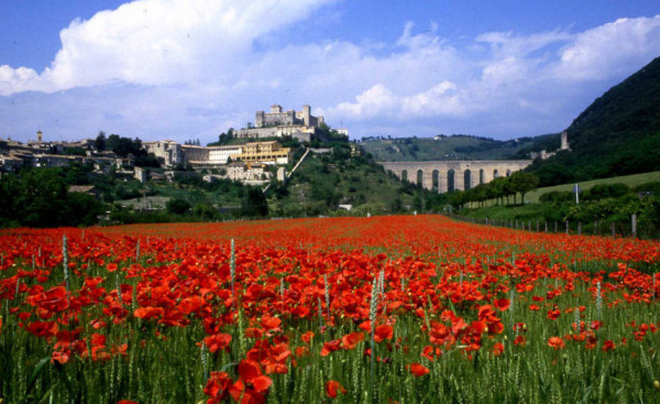 Spoleto, la foto del giorno "Primavera" di Giustino Rotondi