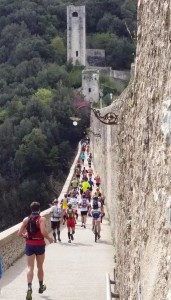 Ponte delle Torri