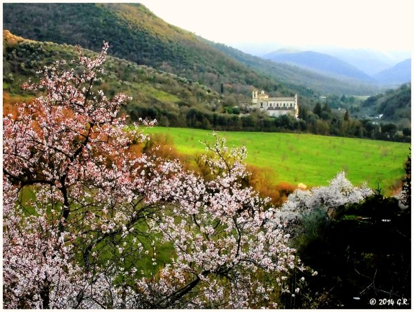 Spoleto, la foto del giorno è "Primavera" di Giustino Rotondi