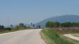 alberi tagliati pontebari