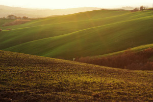 colline