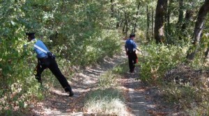 ricerche carabinieri bosco