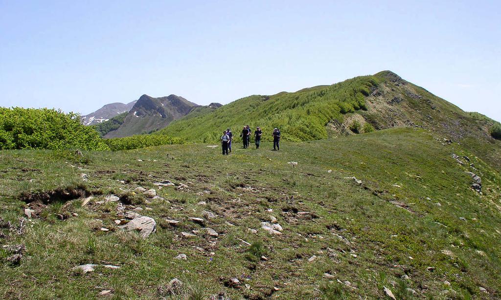 bosco-montagna-appennino