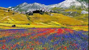 castelluccio