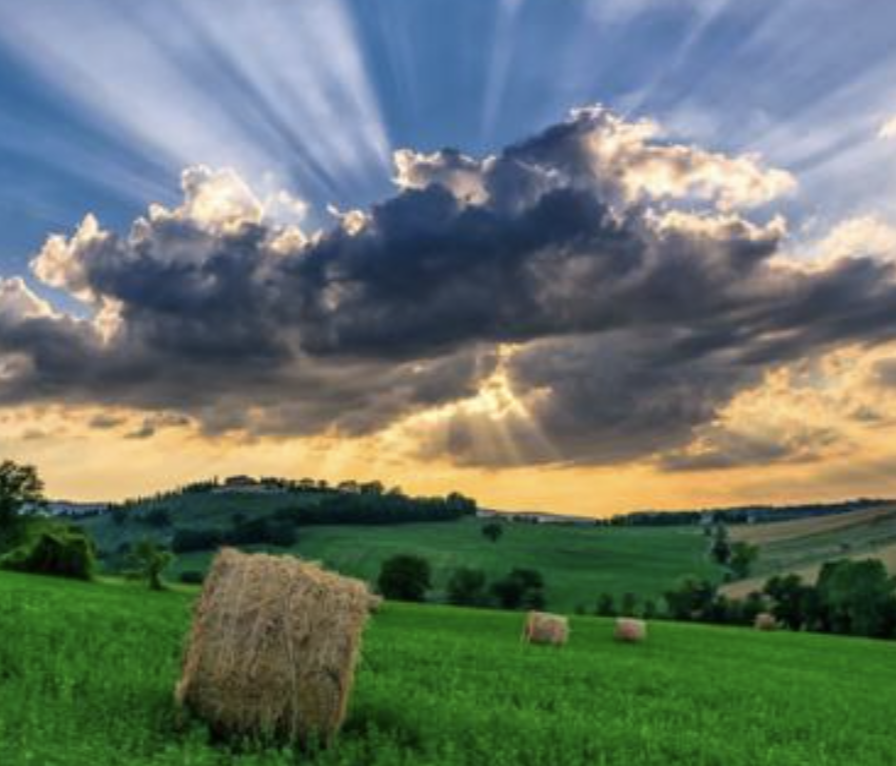 angolo di campo