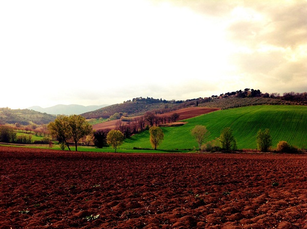 Colle di maiano, vista Terraia